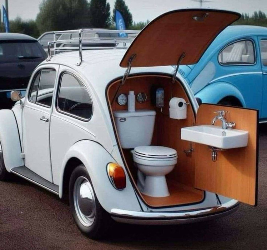 white-beetle-toilet.jpg