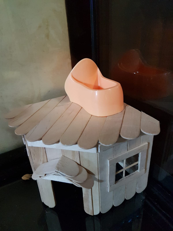 WhatsApp Image 2019-11-16 at 16.53.16 (1)