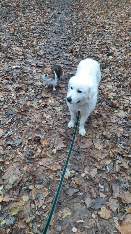 387D436D-EFB0-44D3-9672-C97938A7E1C0