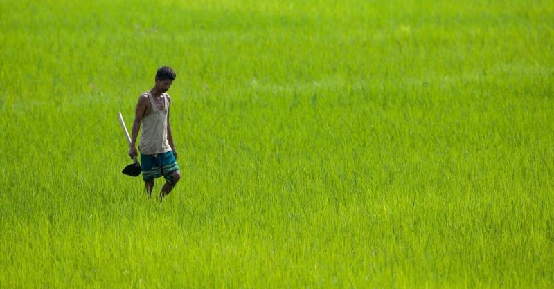 Challenges Farmers Face