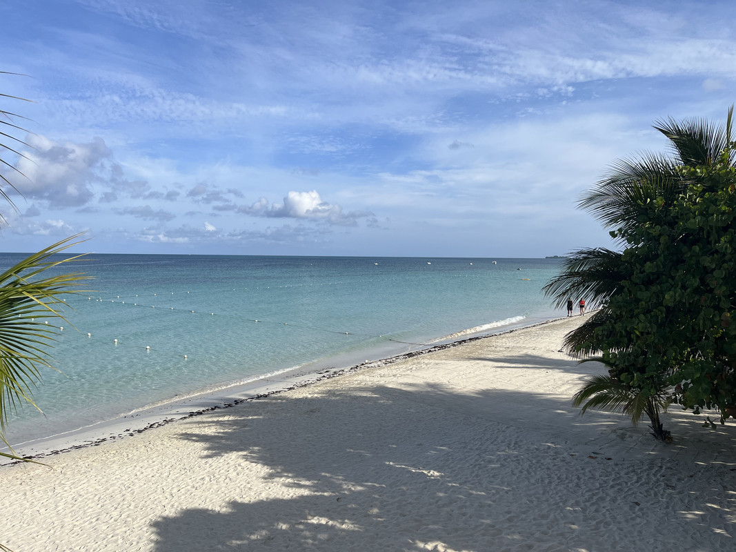 58250526-4670-40E1-9E18-3C81C03AFFE6