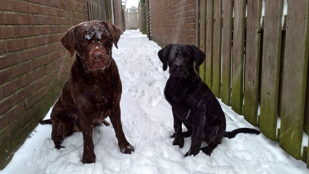 FEB3B2F5-9320-4AE2-AC8B-64203C2EBD32