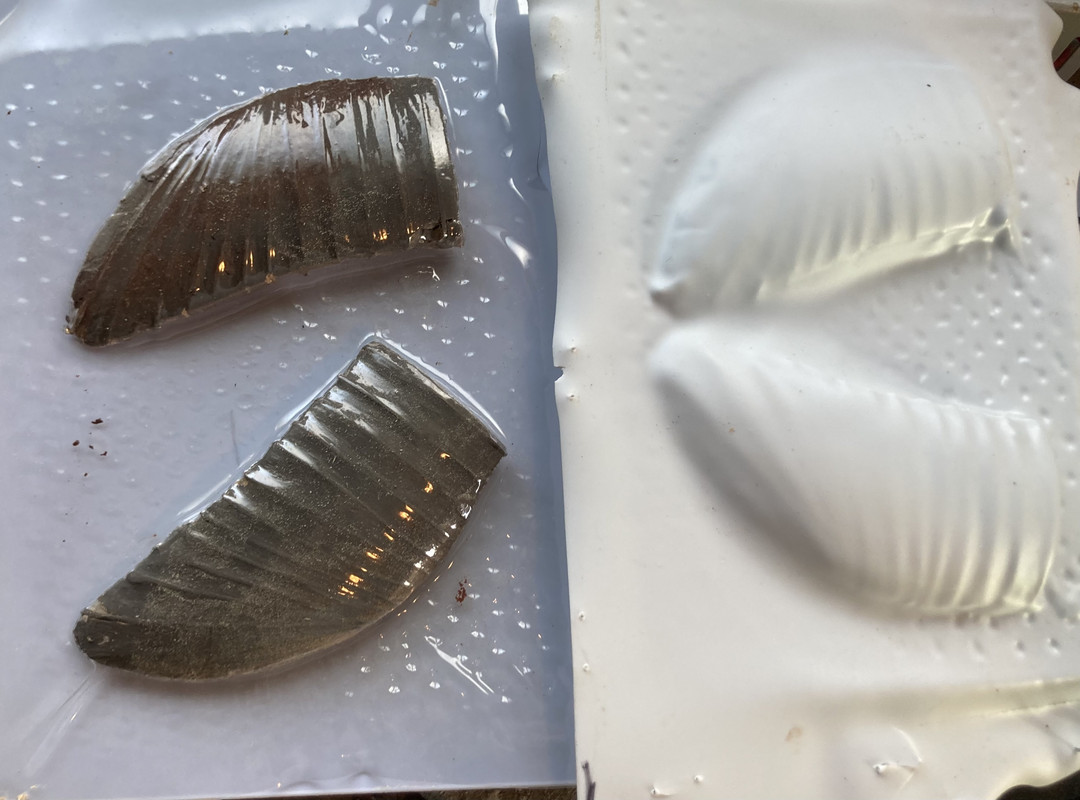 7D71563C-ADE5-4194-B1F1-FE04F3FC9EB3