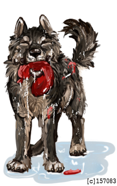 WP-splashed-3.png