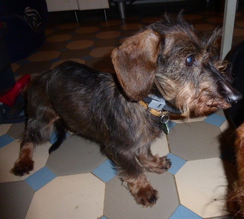 [Image: P1050814.jpg]