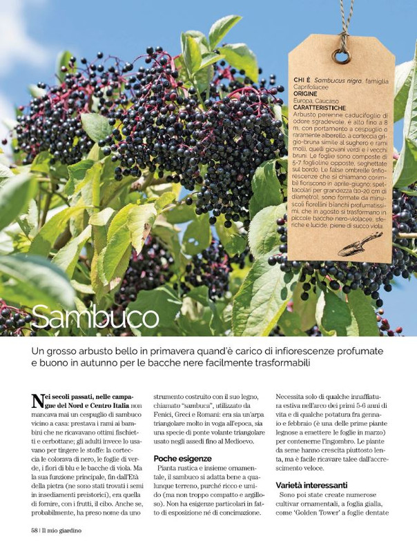 Il Mio Giar Set-Ott 2021 (4)