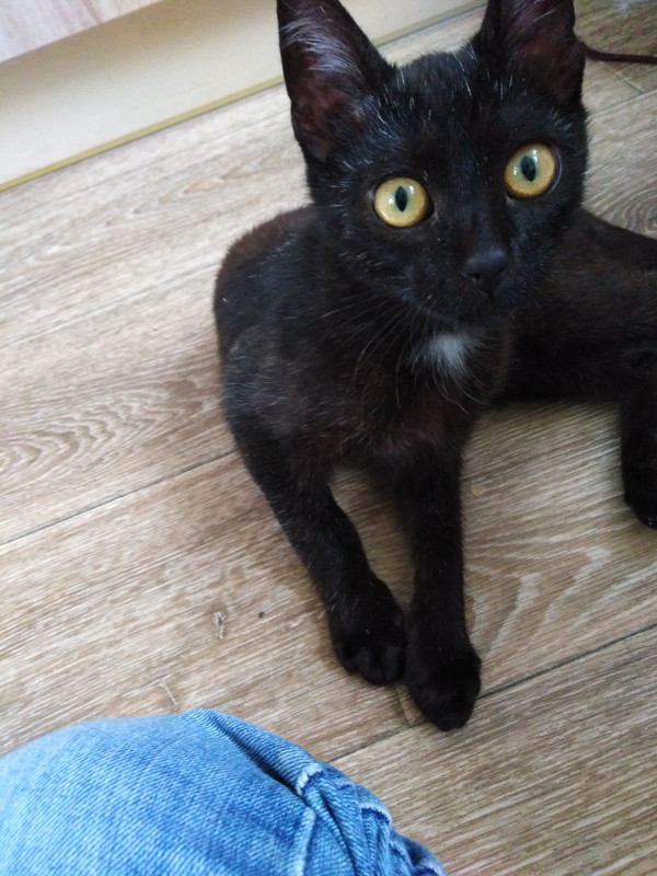 IMG-949e4bfcdd85fe21c334b3f6b8f419ff-V