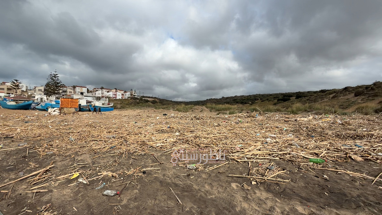 2026-04-26-15-50-IMG-1394-00-00-48-08-Still008