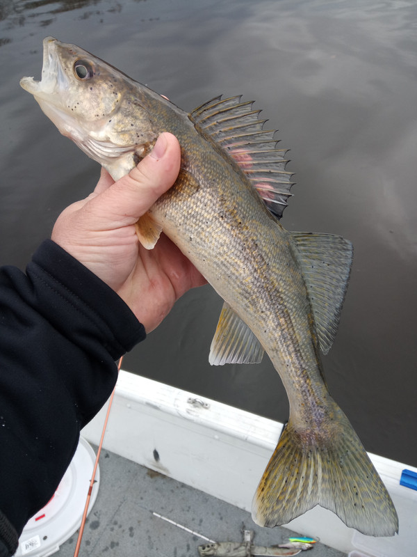 IMG_20201204_120604_338