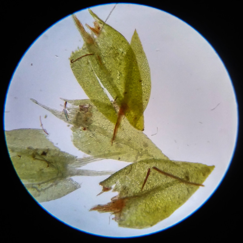 IMG 20250617 114913 HDR