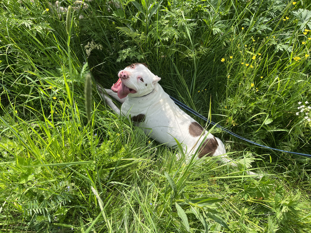 DA034D1F-9F18-47E9-949B-DE949FE66C03