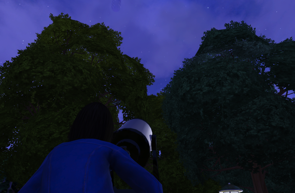 Sims2-EP9-RPC-2021-08-08-11-50-07-99