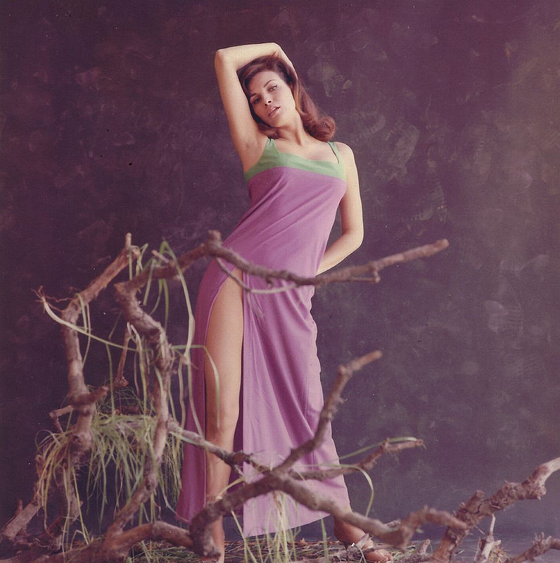 raquel_welch_d15