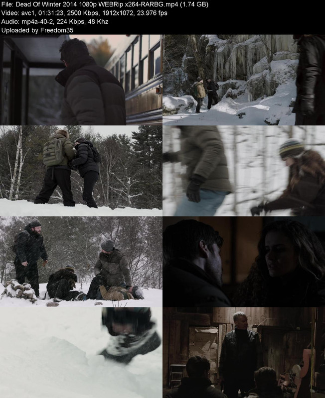 Dead-Of-Winter-2014-1080p-WEBRip-x264-RA