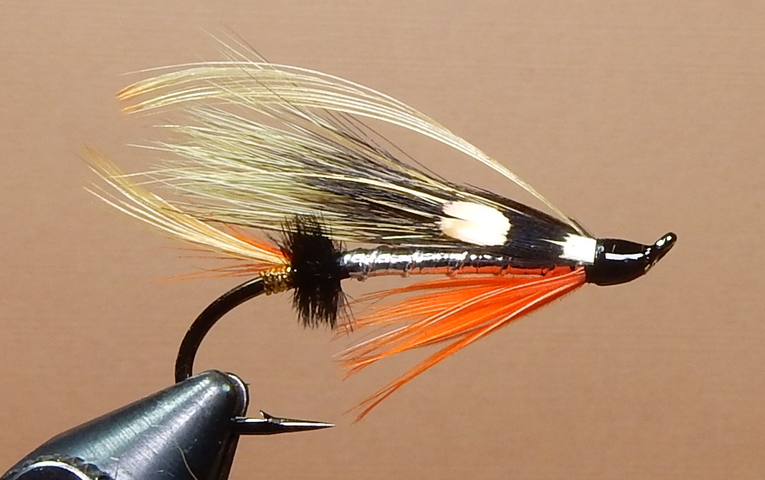 Yellow-Canary-1080.jpg