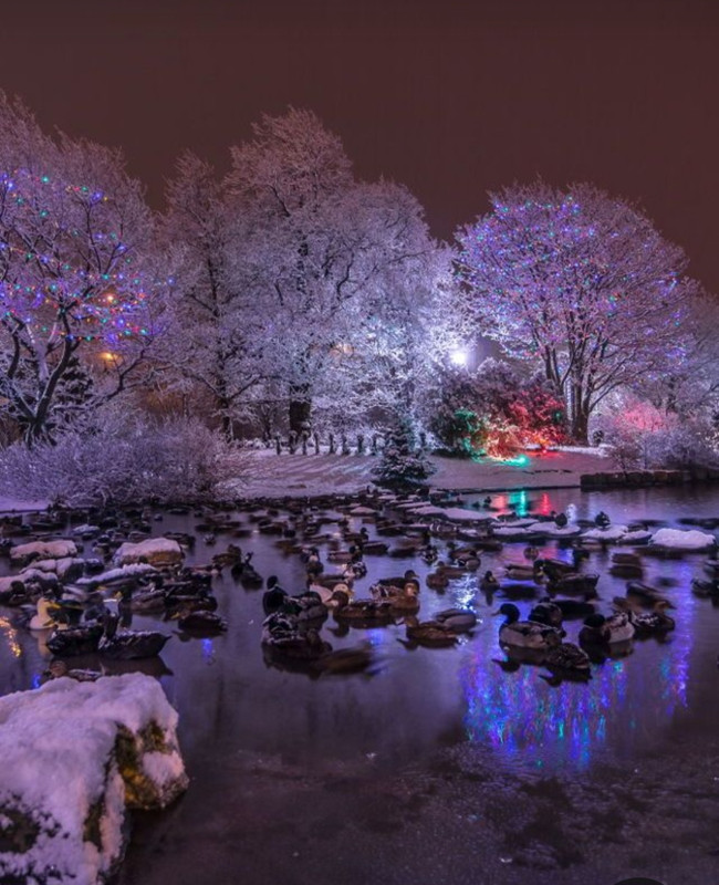 Screenshot_20231016_193320_Pinterest