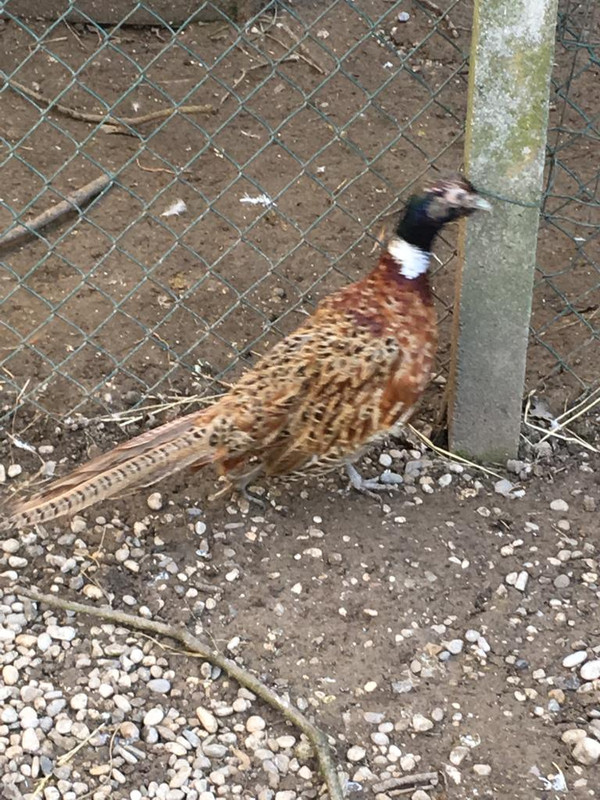 EF0E4515-C9BC-466C-B4E9-CE04199A1251