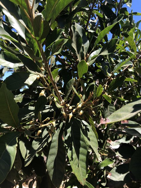 84F198BB-31C6-4C57-A377-64D5BEFF7E7D