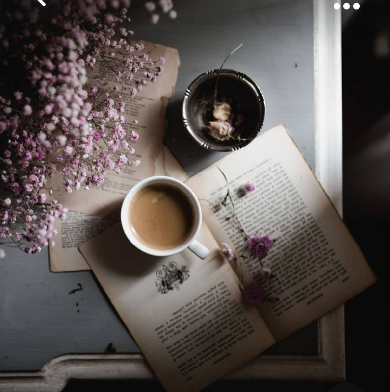 Screenshot_20231015_214129_Pinterest