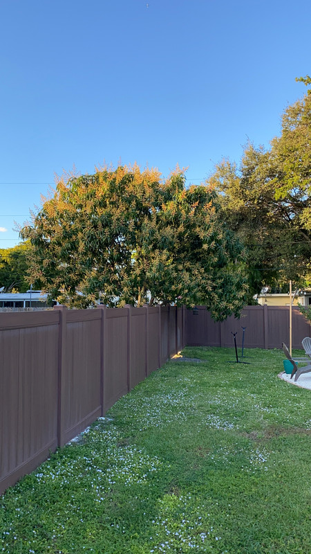 3BB2B968-7940-446C-92C9-B7F6F93545F1