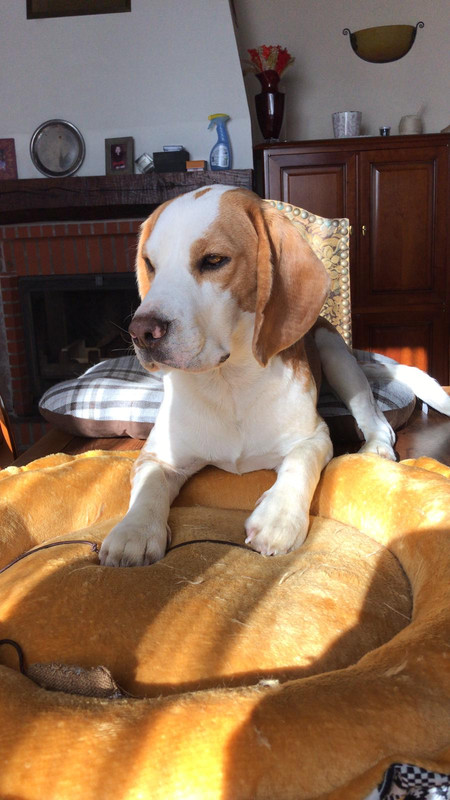 [Image: IMG-20210408-WA0000.jpg]