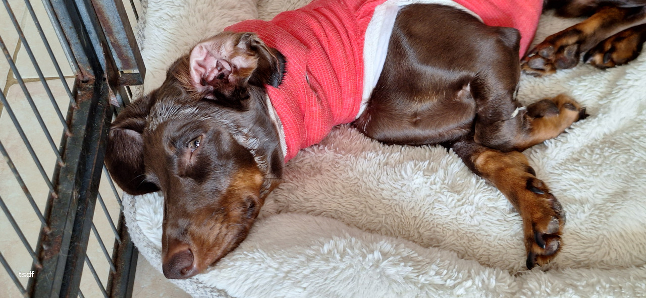 [Image: 20250824-104600.jpg]