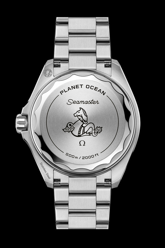 217 30 42 21 01 003 caseback