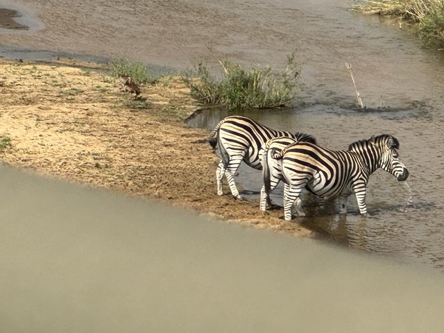 [Linked Image from i.postimg.cc]