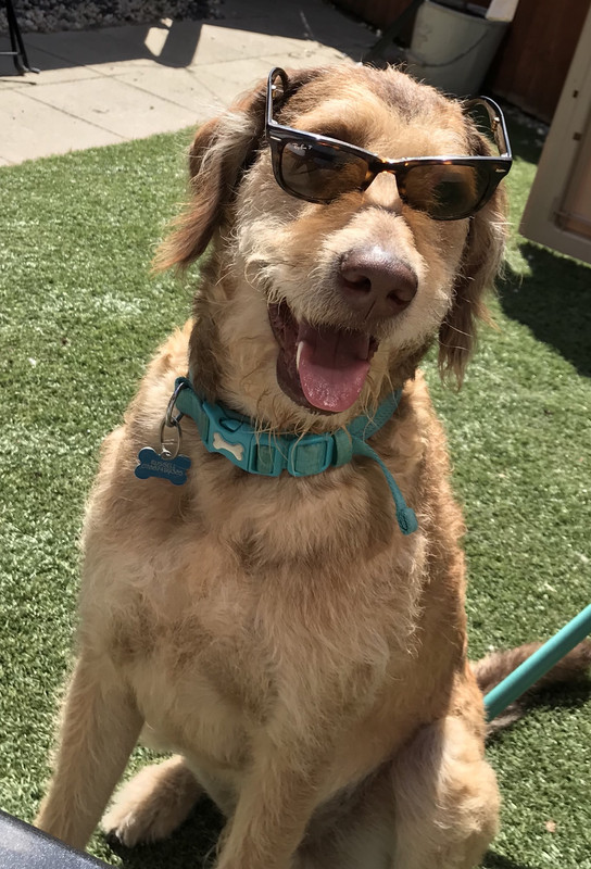 F27B41ED-DCB4-4247-B99D-5E70F2989A0C