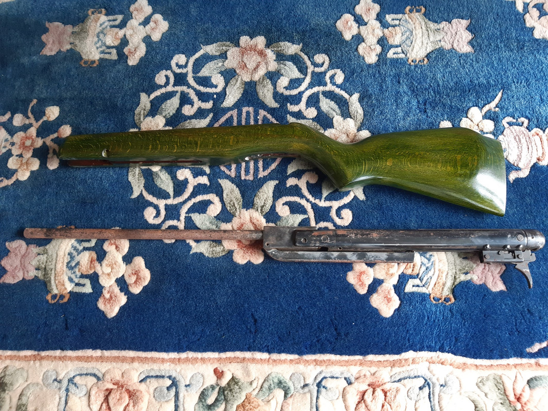 454612880_1174566643656587_3290903998533596092_n