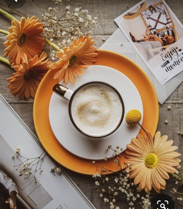 Screenshot_20230830_230314_Pinterest