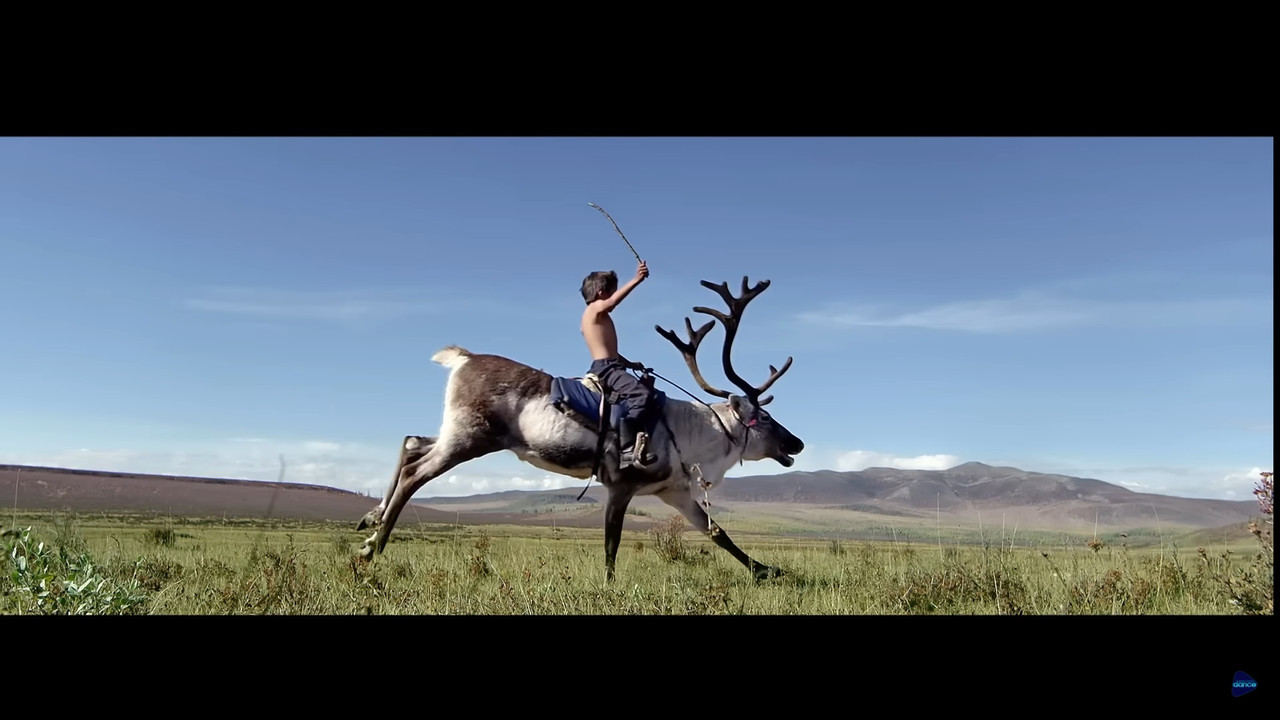 黑執事 綠之魔女篇 第九話 公路賽