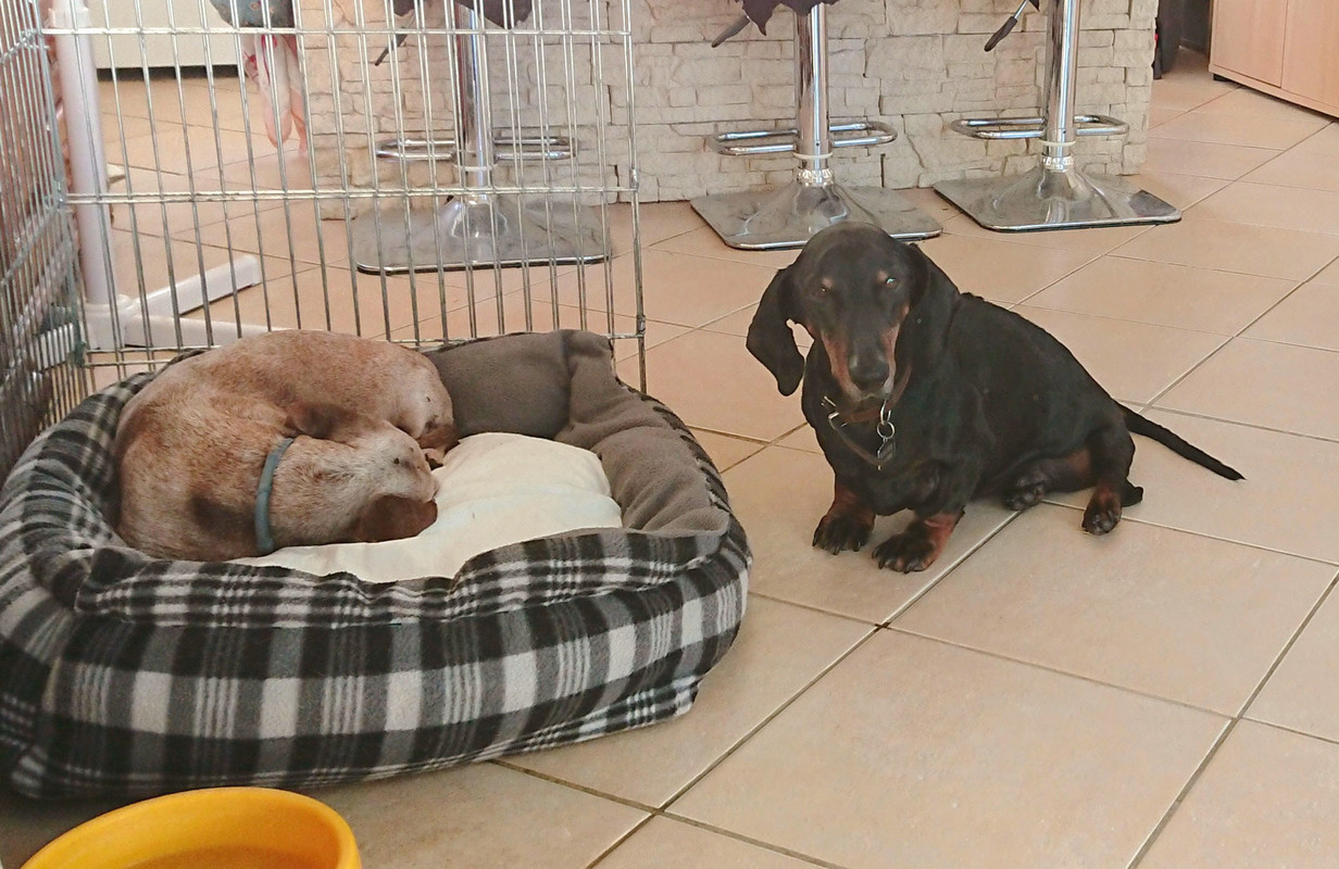 [Image: 20230807-003156.jpg]