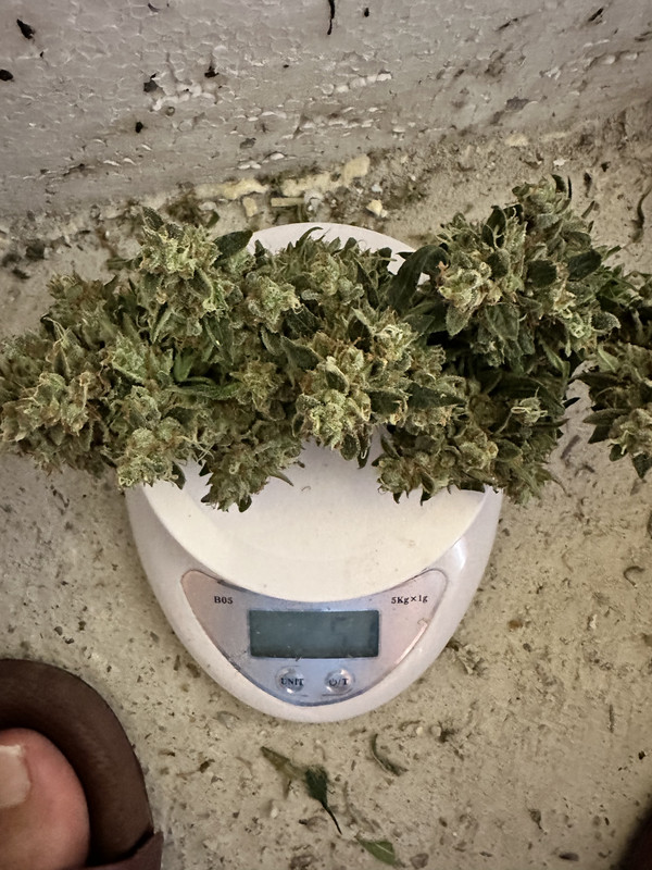 54911BB8-8545-42FD-8DEE-9CB89373C78F