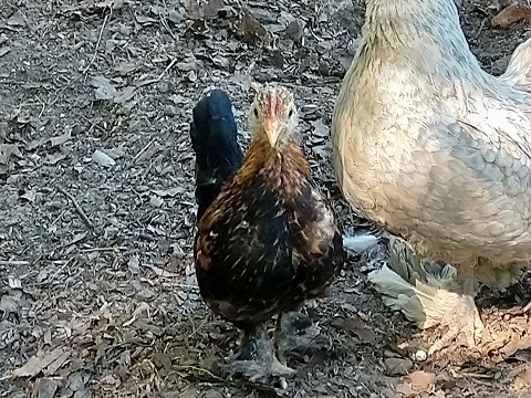 tipun kuvia 2020 (1)