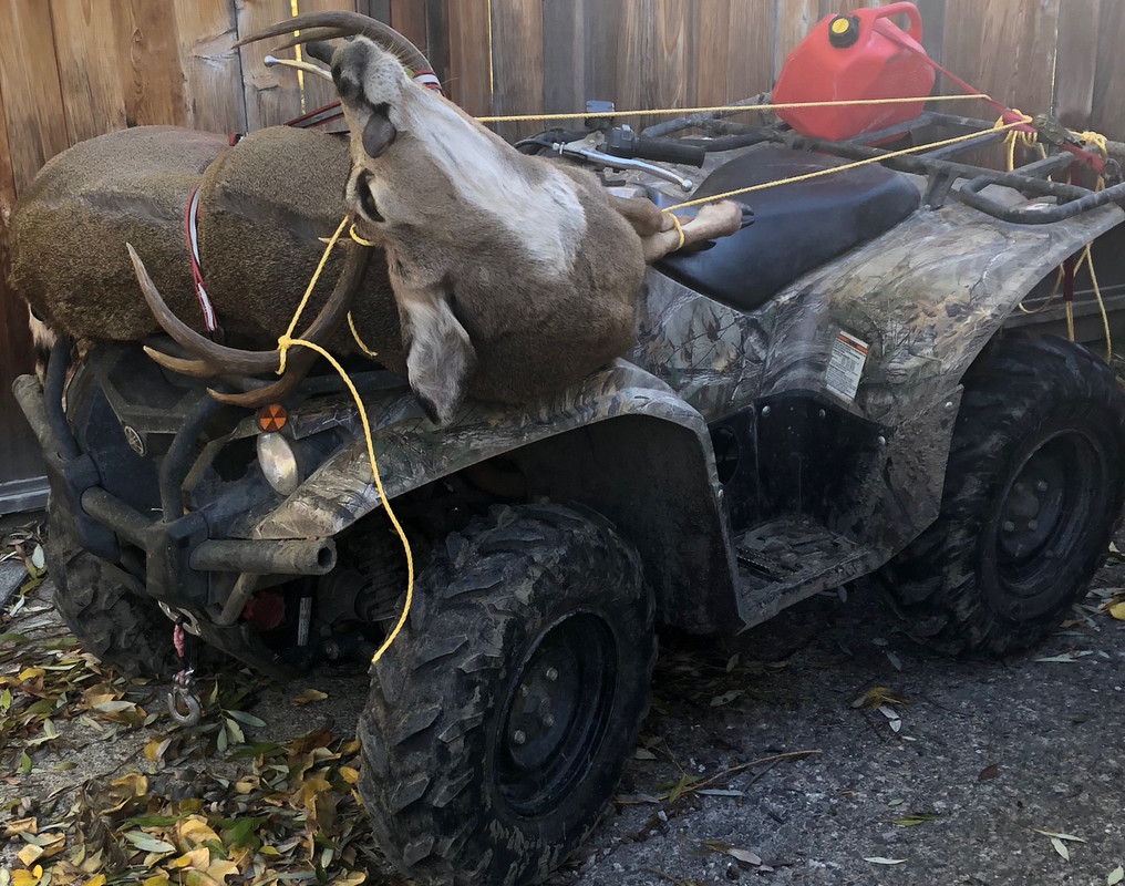 74C32F5C-50B7-4C5E-AB87-D5DD2863C0C3