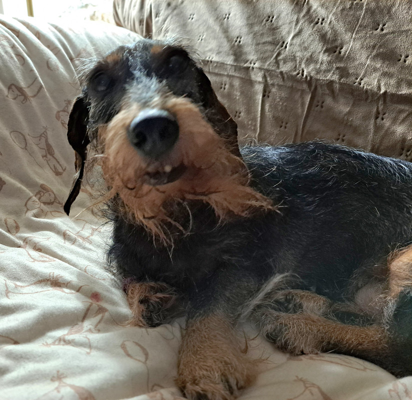 [Image: 13-12-2024.jpg]