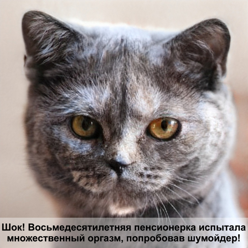 как подстричь когти котенку дома