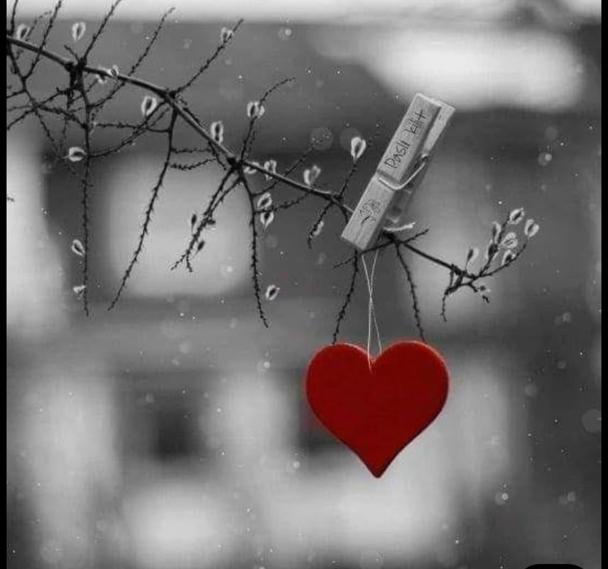 Screenshot_20251004_185844_Pinterest