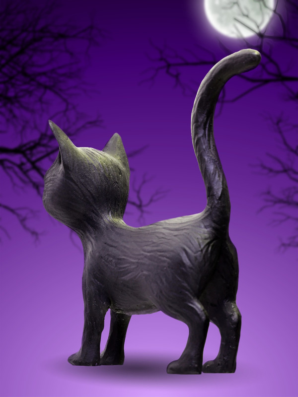 518239377 1360147222782267 2288802257161421644 n