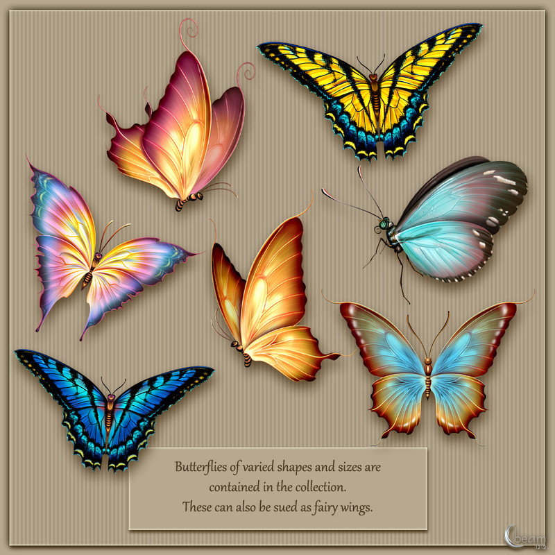 Moonbeams Flutter:The Butterfly Collection