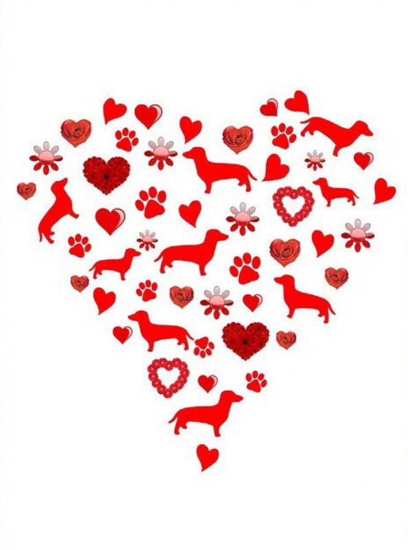 [Image: IMG-1007.jpg]