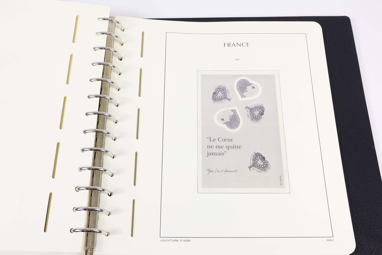 IMG 6173