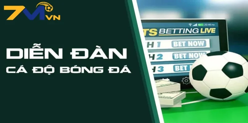 7m-cung-cap-nhung-thong-tin-nao