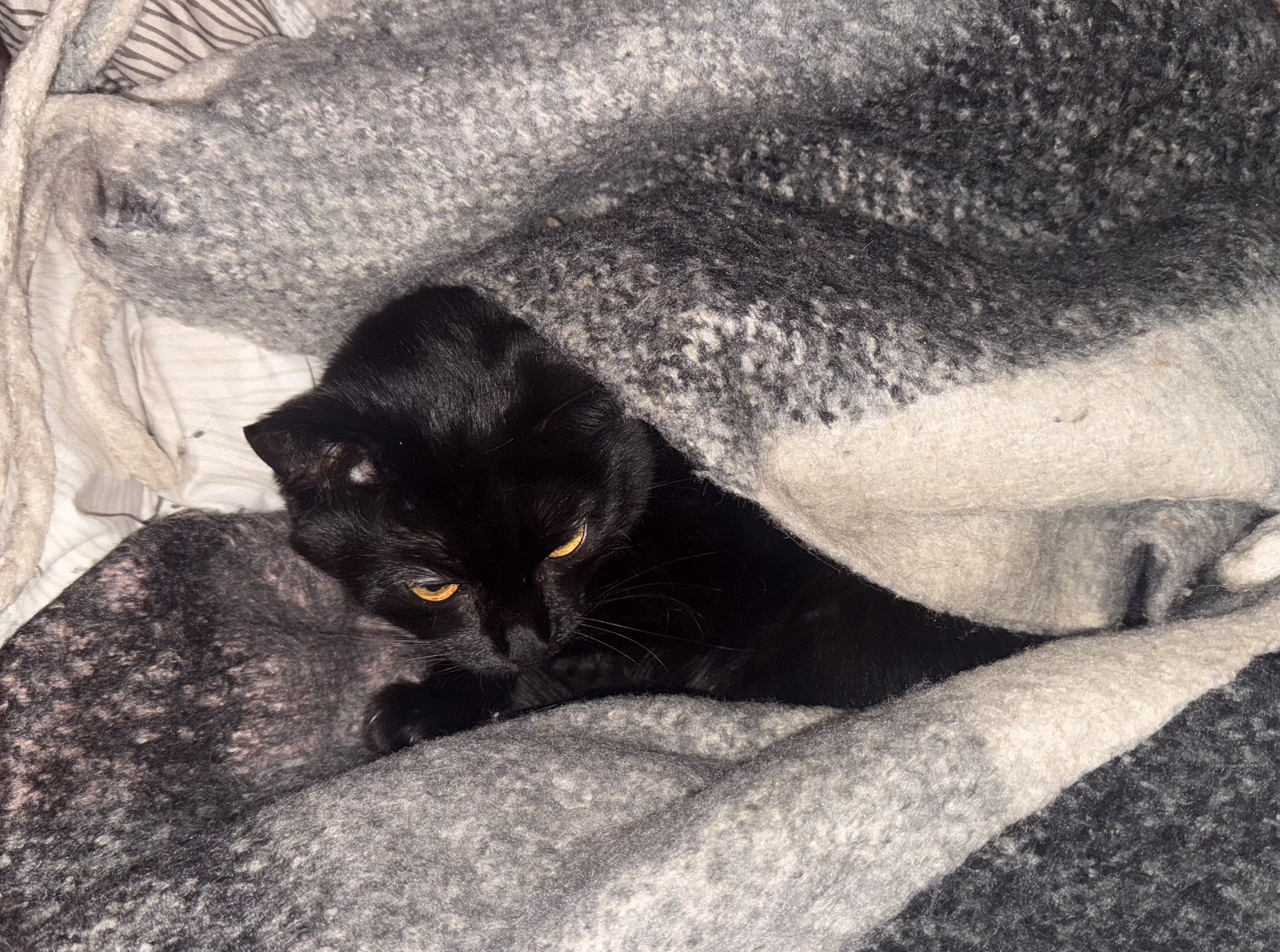 IMG-20260126-232650-465