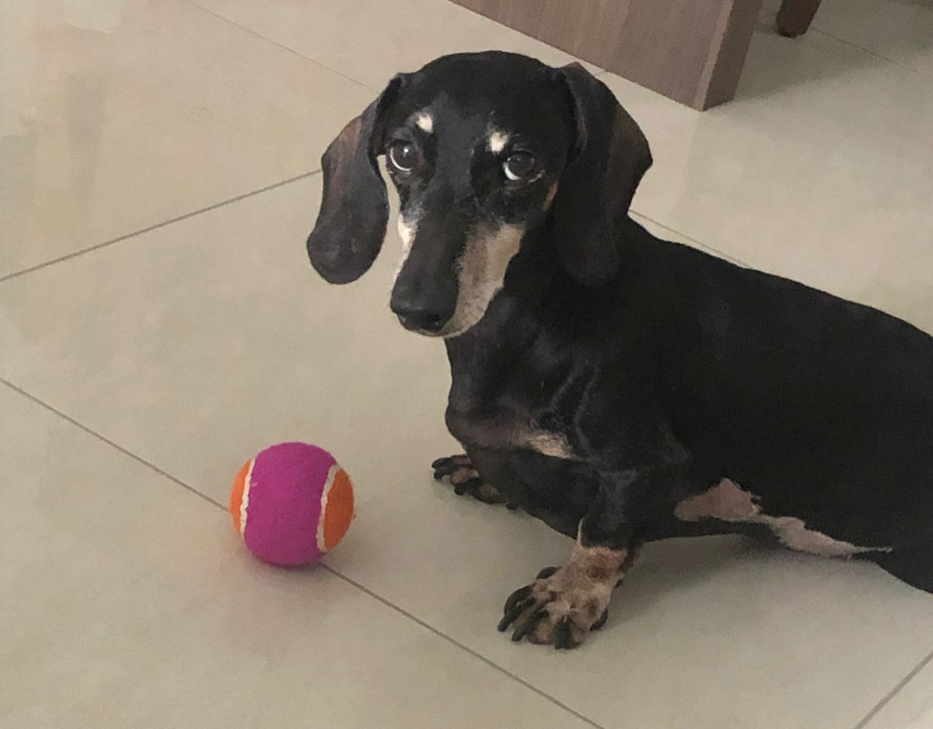 [Image: IMG-20221017-WA0001.jpg]