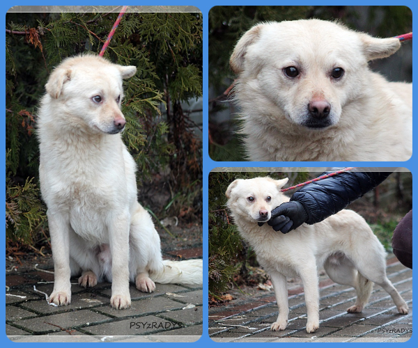 BeFunky-collage (18)