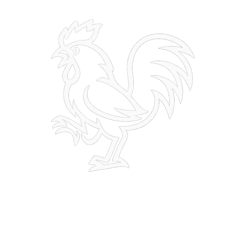 Sabung Ayam