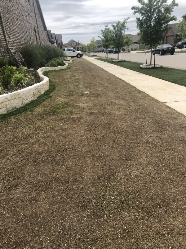 73F43216-17C8-42DA-BBFA-DBFF1C7E2071