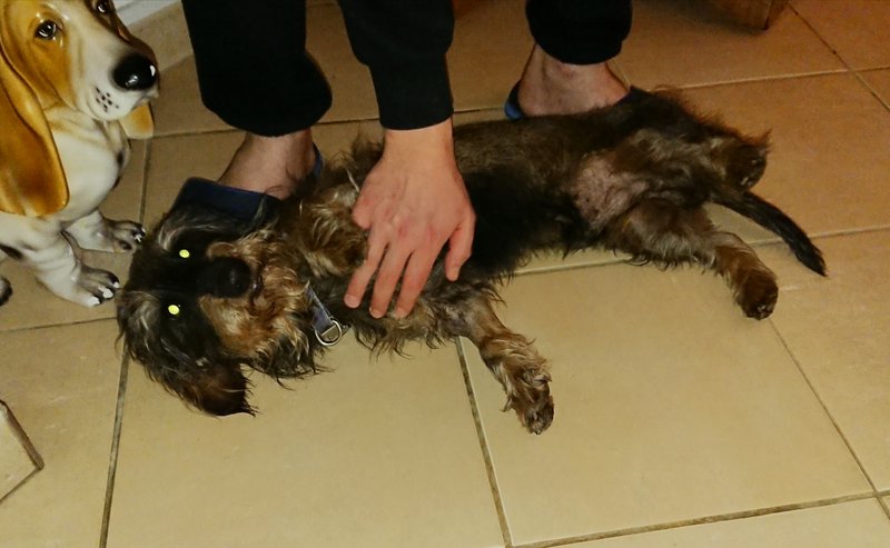 [Image: 20240123-215259.jpg]